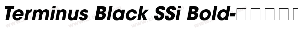 Terminus Black SSi Bold字体转换